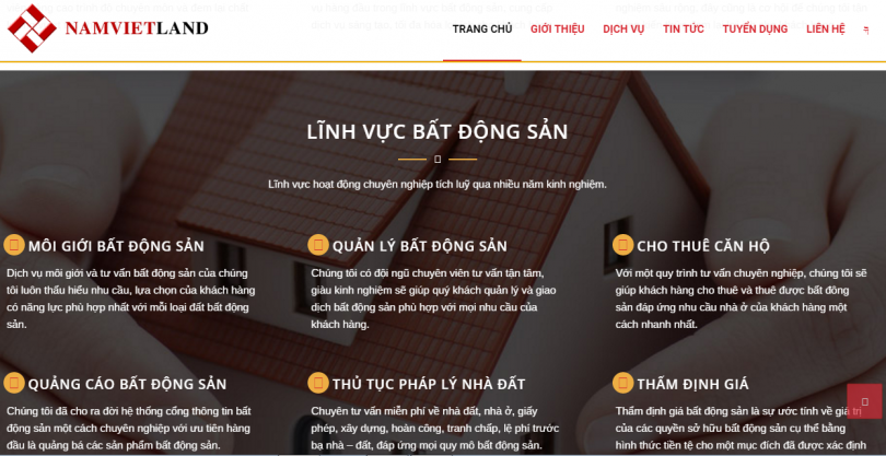 Dự án bất động sản Nam Việt Land